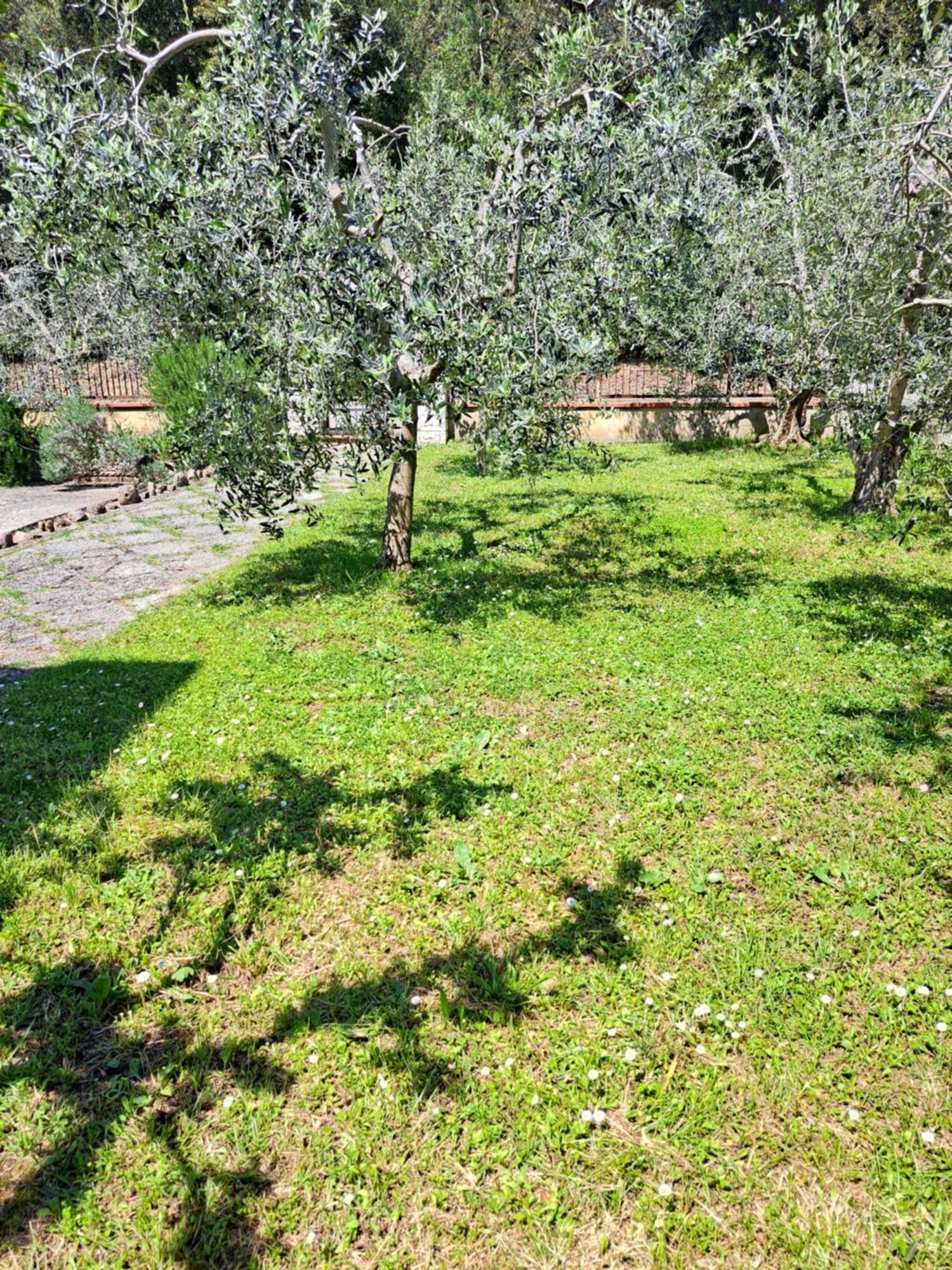 Villa Casa Gli Ulivi Montepulciano Stazione Exterior foto