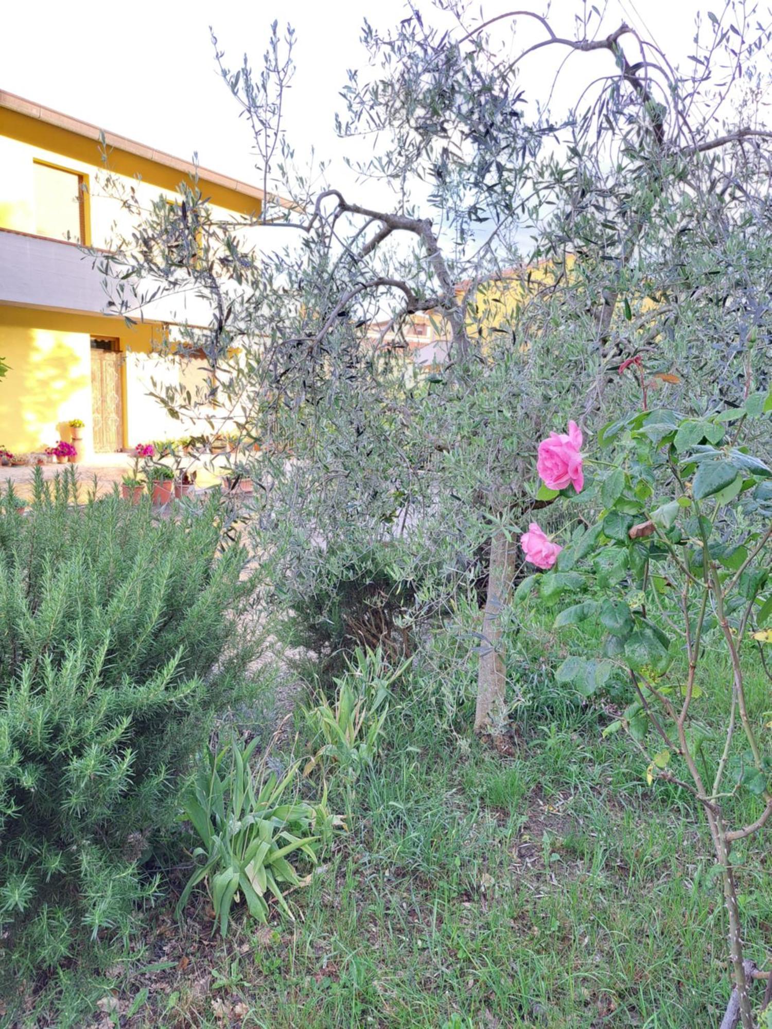 Villa Casa Gli Ulivi Montepulciano Stazione Exterior foto